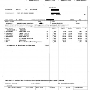 RMANUTENZIONE NISSAN QASHQAI_Page_2_Page_2